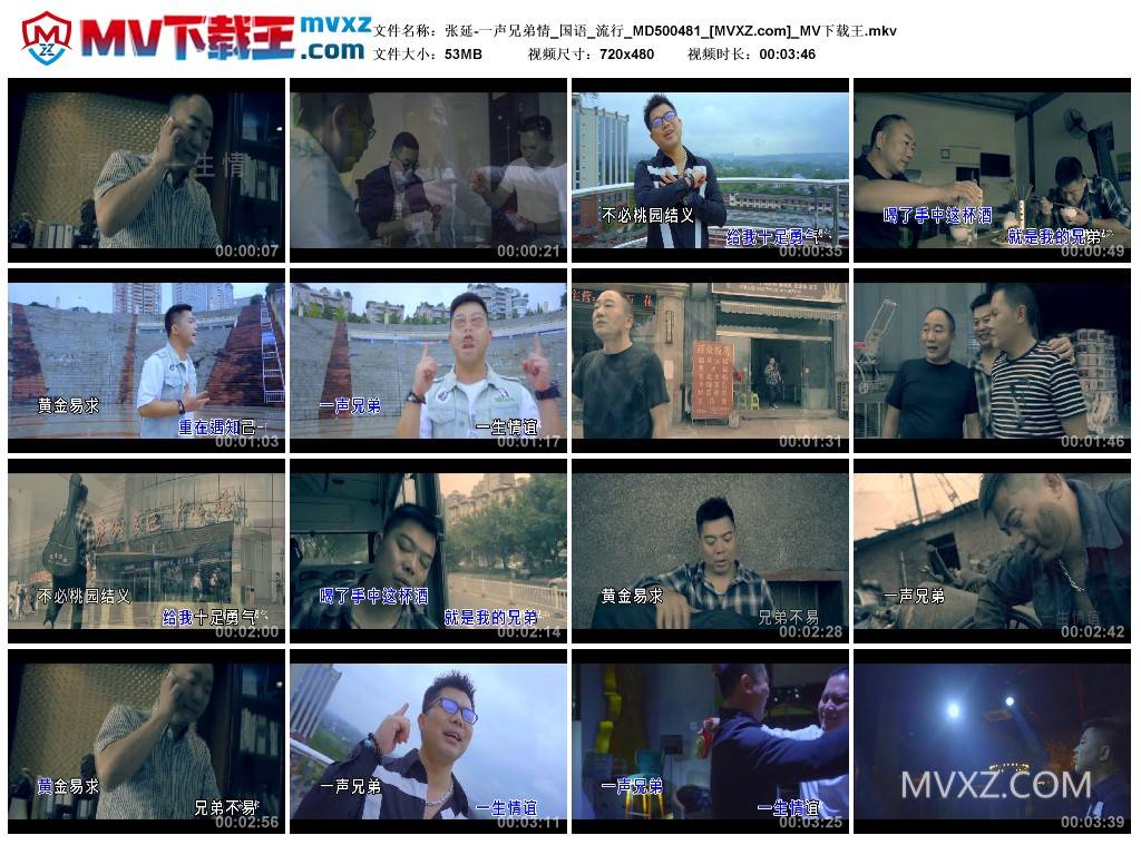 张延-一声兄弟情_国语_流行_MD500481